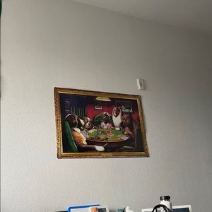 Meet your Posher, Jack